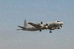 Dcim3304/DSC_1183