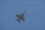 Dcim3304/DSC_1195