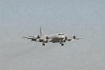 Dcim3304/DSC_1205