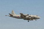 Dcim3304/DSC_1219