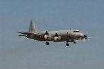 Dcim3305/DSC_1240