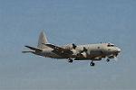 Dcim3305/DSC_1241