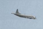 Dcim3305/DSC_1256