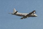 Dcim3305/DSC_1262