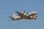 Dcim3305/DSC_1271