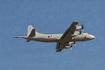 Dcim3305/DSC_1306