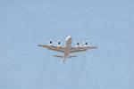Dcim3306/DSC_1332