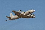 Dcim3306/DSC_1398