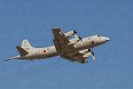 Dcim3306/DSC_1399