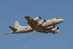 Dcim3307/DSC_1423