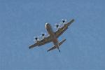 Dcim3307/DSC_1431