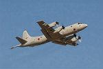 Dcim3307/DSC_1447
