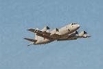 Dcim3307/DSC_1493