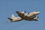 Dcim3307/DSC_1494