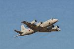 Dcim3307/DSC_1496