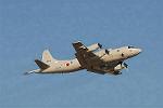 Dcim3307/DSC_1503