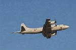 Dcim3307/DSC_1504