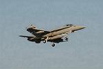 Dcim3308/DSC_1521