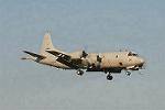 Dcim3308/DSC_1553