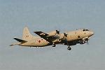 Dcim3308/DSC_1608