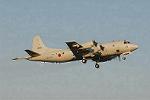 Dcim3308/DSC_1609