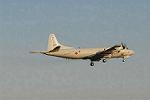 Dcim3308/DSC_1610