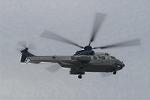 Dcim3310/DSC_1656