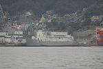 Dcim3332/DSC_2173