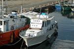 Dcim3339/DSC_8035