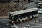 Dcim3342/DSC_1617