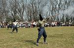 Dcim3342/DSC_1669