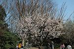 Dcim3343/DSC_1783