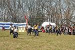 Dcim3344/DSC_8081