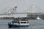 Dcim3353/DSC_8317