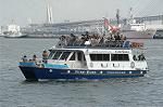 Dcim3353/DSC_8318