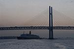 Dcim3354/DSC_2607