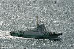 Dcim3361/DSC_2999