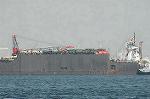 Dcim3378/DSC_4593