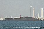 Dcim3378/DSC_4613