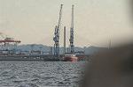 Dcim3397/DSC_8883