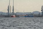 Dcim3397/DSC_8884
