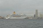Dcim3398/DSC_2984