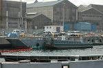 Dcim3442/DSC_0551