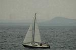 Dcim3483/DSC_3310
