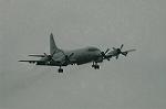 Dcim3486/DSC_3367