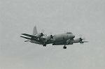 Dcim3486/DSC_3453