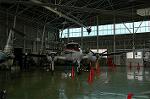 Dcim3497/DSC_4259
