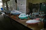 Dcim3501/DSC_4666