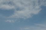 Dcim3503/DSC_0395