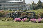 Dcim3511/DSC_0439